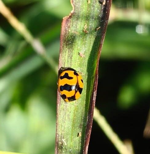 repent harlequin said the ticktockman pdf