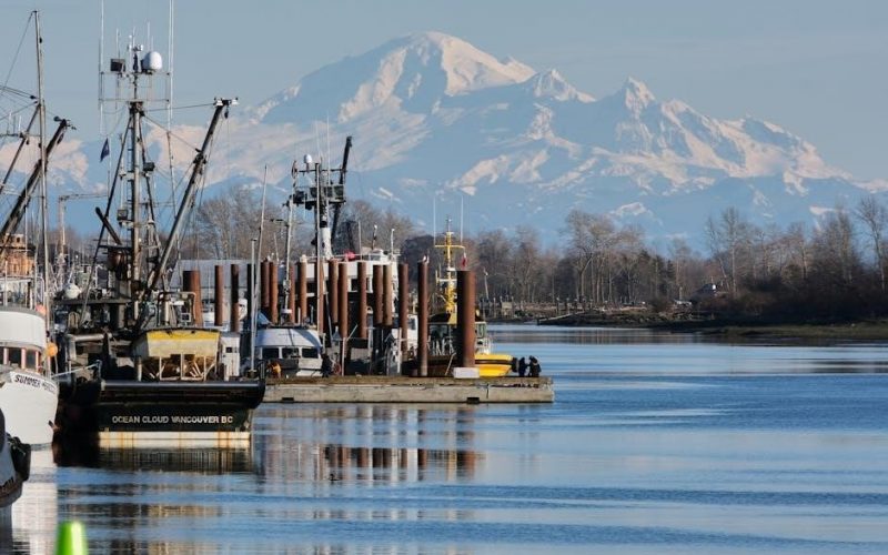 columbia river sturgeon fishing guides