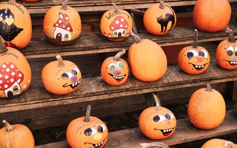 spookley the square pumpkin book pdf